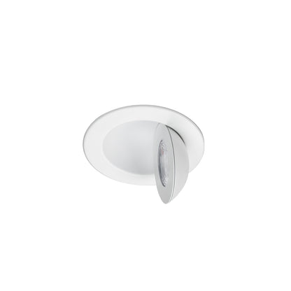 6" Fire Rated Adjustable Downlight 5CCT